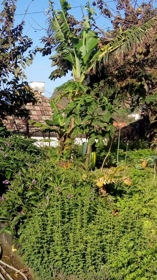 サンタナ Casa Reizinhoヴィラ エクステリア 写真